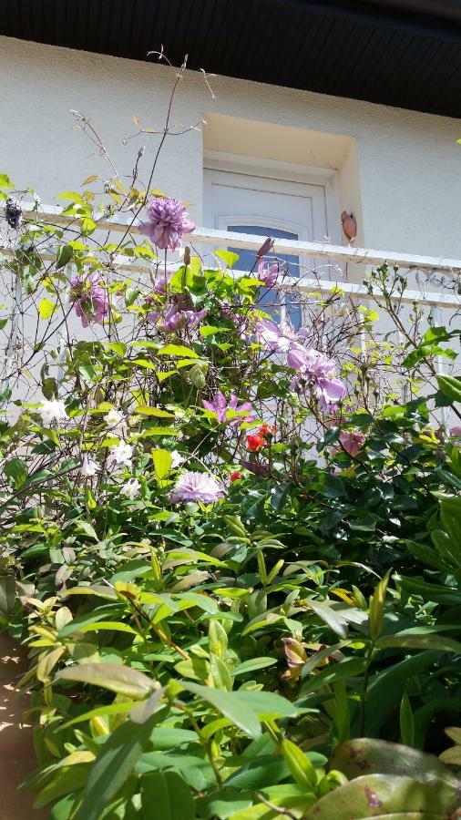 Chambre Avec Jardin Pierre Curie Bry-sur-Marne Bagian luar foto