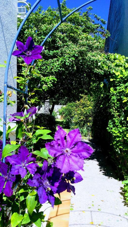 Chambre Avec Jardin Pierre Curie Bry-sur-Marne Bagian luar foto